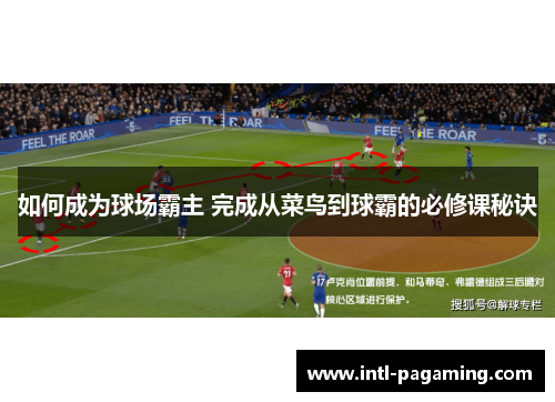 如何成为球场霸主 完成从菜鸟到球霸的必修课秘诀 如何成为球场霸主 完成从菜鸟到球霸的必修课秘诀