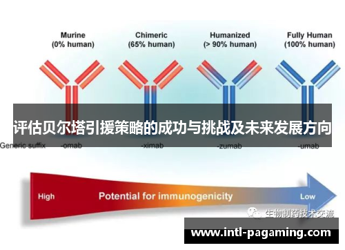 评估贝尔塔引援策略的成功与挑战及未来发展方向 评估贝尔塔引援策略的成功与挑战及未来发展方向