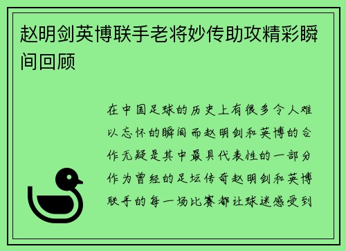 赵明剑英博联手老将妙传助攻精彩瞬间回顾